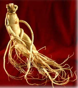 �'�����- ��� ���� ����� �� ����� ����� ������ ���� ����� �����, ���� ������ �������, ���� ����� �������, ���� ����� ����